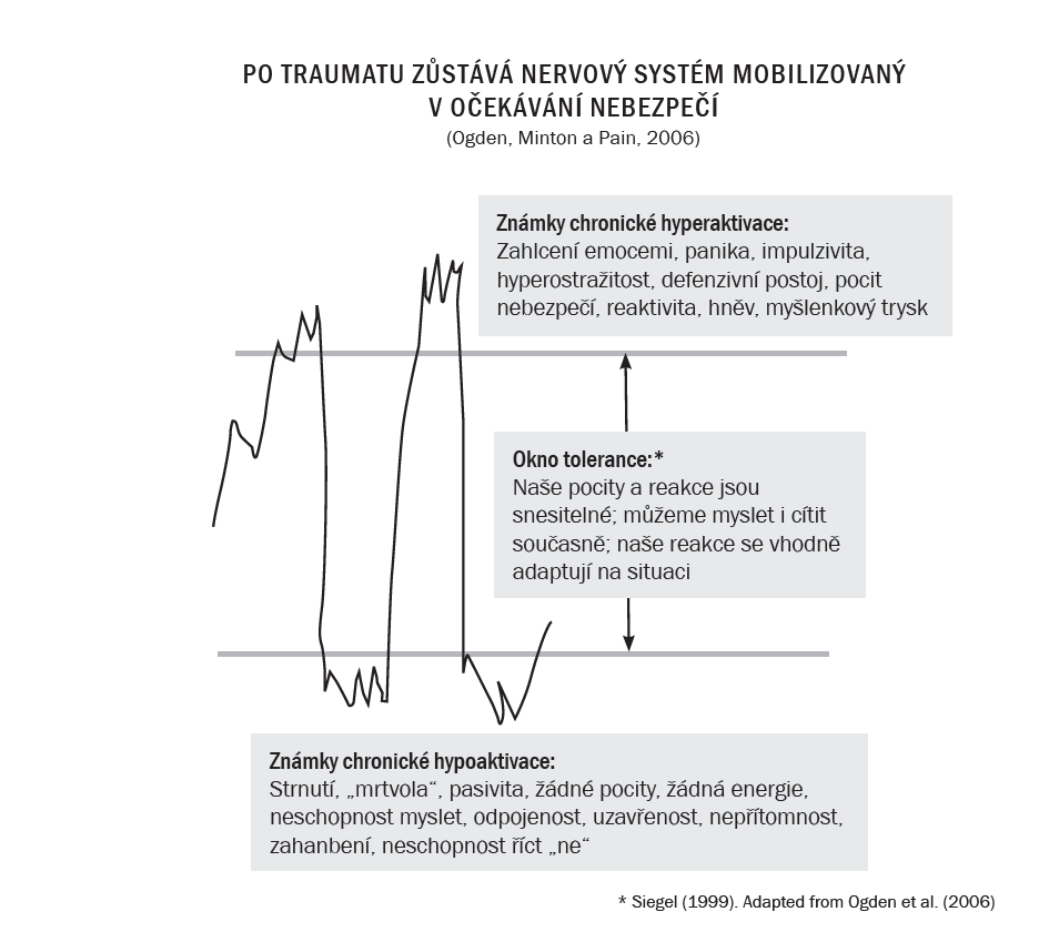 Překonávání traumatu ukázka