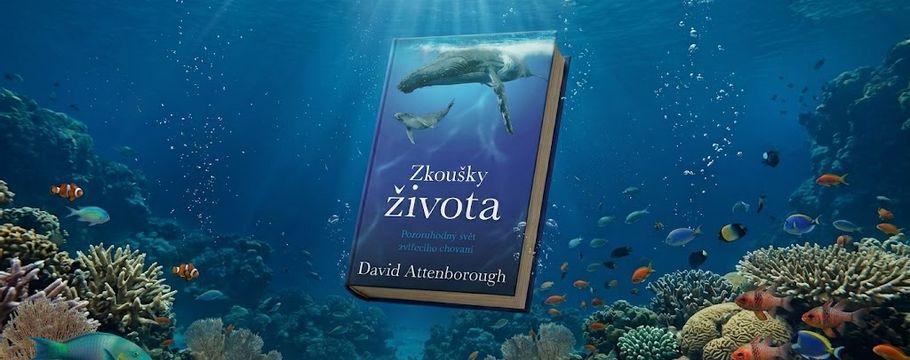 Tohle stojí za přečtení!
