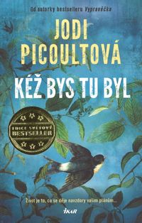 Kéž bys tu byl