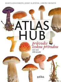 Atlas hub