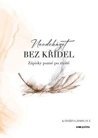 Neodcházet bez křídel