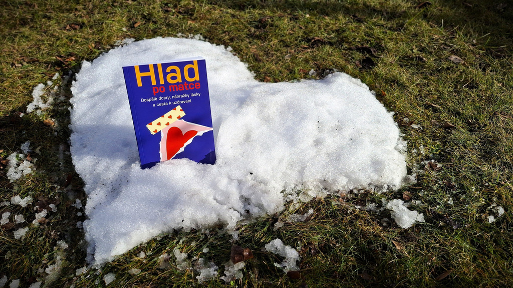 Kelly McDaniel - Hlad po matce - Dospěl&eacute; dcery, n&aacute;hražky l&aacute;sky a&nbsp;cesta k&nbsp;uzdraven&iacute;