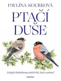 Ptačí duše