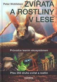 Zvířata a rostliny v lese