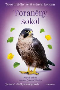 Nové příběhy se šťastným koncem - Poraněný sokol