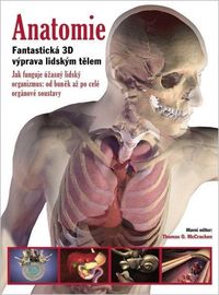 Anatomie - Fantastická 3D výprava lidským tělem