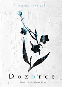 Dozorce - Román z ženské věznice 50. let