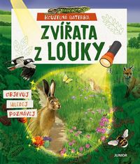 Kouzelná baterka: Zvířata z louky