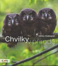 Chvilky v přírodě