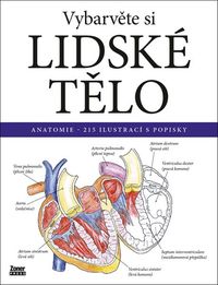 Vybarvěte si - LIDSKÉ TĚLO