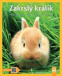 Zakrslý králík: Správná péče, rady odborníků, také pro začátečníky - Jak na to
