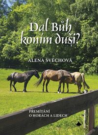 Dal Bůh koním duši? (Přemítání o horách a lidech)