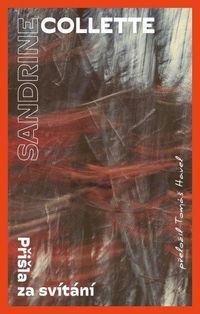 Přišla za svítání