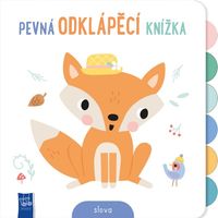 Pevná odklápěcí knížka Slova