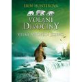 Volání divočiny (2): Velké medvědí jezero