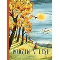 Podzim v lese