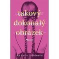 Takový dokonalý obrázek