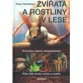 Zvířata a rostliny v lese