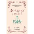 Rozinky v blátě - Dva tucty střepů