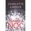 Osamělá noc