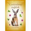 Nové příběhy se šťastným koncem - Vystrašený zajíček