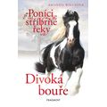 Poníci od stříbrné řeky - Divoká bouře