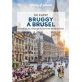 Bruggy a Brusel do kapsy - Lonely Planet