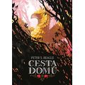 Cesta domů