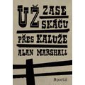 Už zase skáču přes kaluže, e-kniha