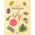 Procvičujeme i/y
