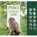 Ptáci našich lesů