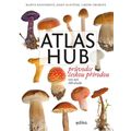 Atlas hub