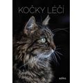 Kočky léčí