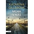 Mlha v nás