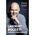 Labyrint bolesti