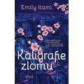 Kaligrafie zlomu