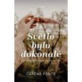 Světlo bylo dokonalé