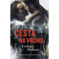 Cesta na vrchol