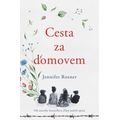Cesta za domovem
