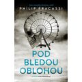 Pod bledou oblohou