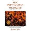 Moc přítomného okamžiku