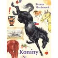 Koniny