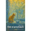 Čím si procházíš