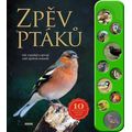 Zpěv ptáků - Jak vypadají a zpívají naši opeření sousedé