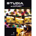 Studia vizuální kultury