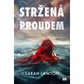 Stržená proudem