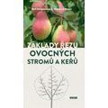 Základy řezu ovocných stromů a keřů
