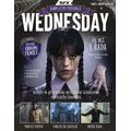 Wednesday - kompletní průvodce