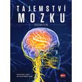 Tajemství mozku srozumitelně