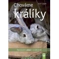 Chováme králíky - Nenároční ušáci v králíkárně